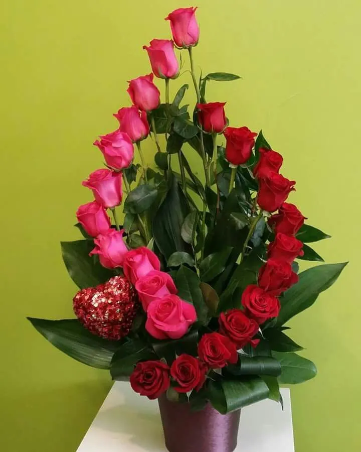 Arreglo de 24 Rosas Combinadas
