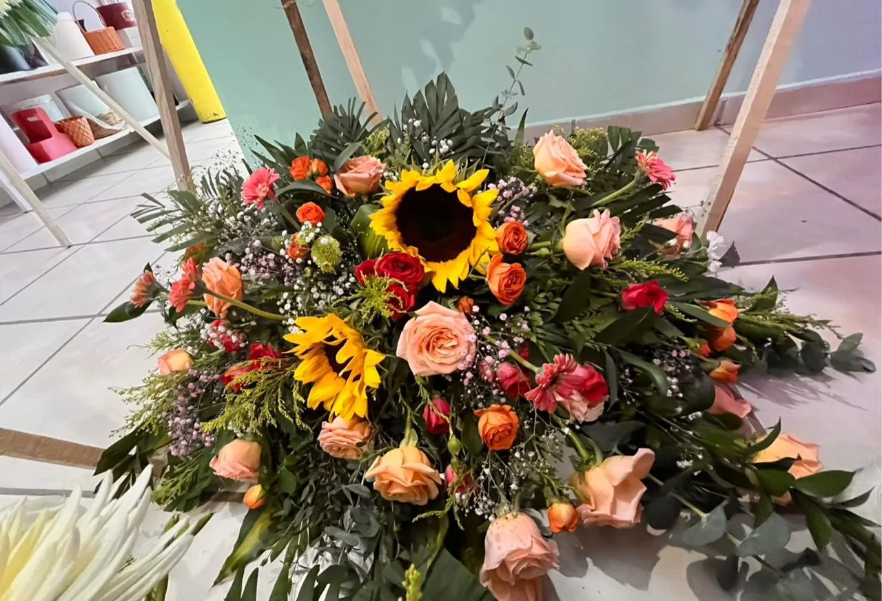 Girasol