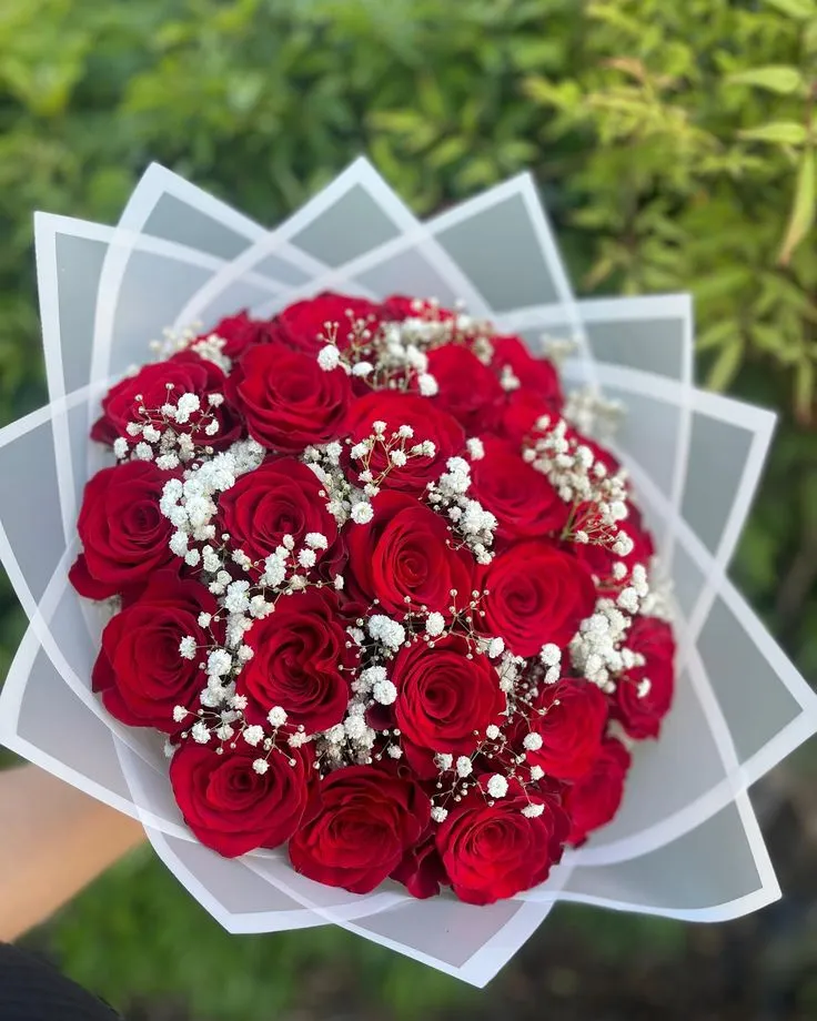 Ramo Circular de 25 Rosas con Gypso